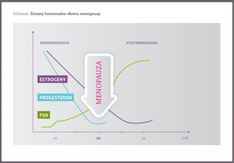 Zmiany hormonalne okresu menopauzy, premenopauza i postmenopauza, wzrost FSH, spadek estrogenów i progesteronu