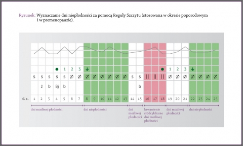 The Peak Rule, how to determine the infertile days during the pre-menopause period